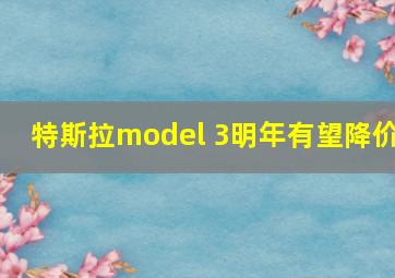 特斯拉model 3明年有望降价